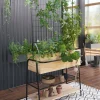 Mesa de cultivo ARCE - Huerto cuadrado sobre patas de madera e invernadero - Imagen 4