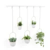 Cultivo en pared TRIFLORA - Juego de 5 maceteros colgantes