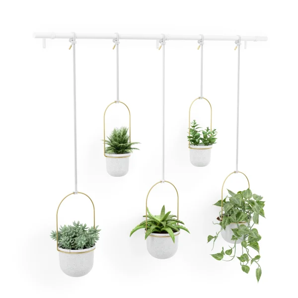 Cultivo en pared TRIFLORA - Juego de 5 maceteros colgantes