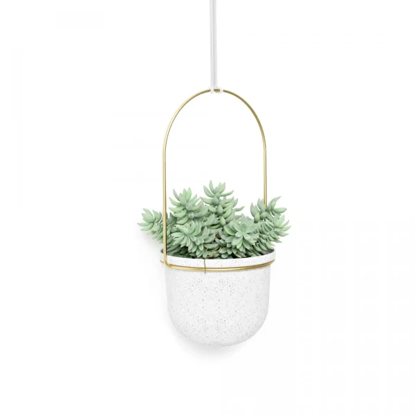 Cultivo en pared TRIFLORA - Juego de 5 maceteros colgantes - Imagen 5