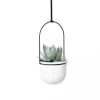 Cultivo en pared TRIFLORA - Juego de 5 maceteros colgantes - Imagen 9