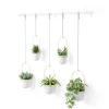 Cultivo en pared TRIFLORA - Juego de 5 maceteros colgantes - Imagen 12