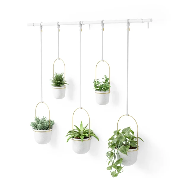 Cultivo en pared TRIFLORA - Juego de 5 maceteros colgantes - Imagen 12