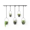 Cultivo en pared TRIFLORA - Juego de 5 maceteros colgantes - Imagen 2