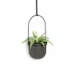 Cultivo en pared TRIFLORA - Juego de 5 maceteros colgantes - Imagen 17